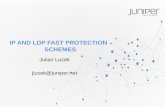 IP/LDP fast protection schemes