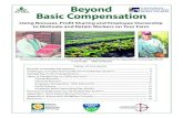 Beyond Basic Compensation
