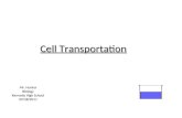 Anatomy and Physiology Cell Transport and The Cell Cycle
