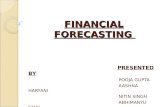 Financial Forecasting & Planning