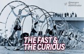 Thefast & The Curious