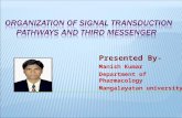 Signal transduction presentation