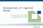 Evaluation of Capital Needs in Insurance