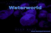 117 beautiful waterworld