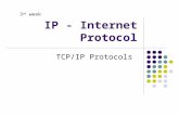 IP - Internet Protocol