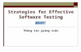 Software Quality Testing Strategies