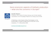 Socio-economics Aspects Biofuels Production: What are the concerns in Europe?