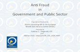 Anti  Fraud  Consulting  - Public Sector