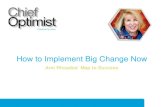 How to Implement Big Change Now