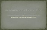Anatomy of a Revolution
