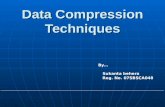 Data Compression Techniques