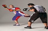 Jeet Kune Do - Savate Connection
