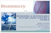 Biomimicry & The Principles of Sustainability by Adiel Gavish