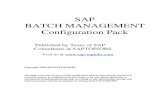 Batch Management Configuration