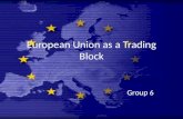 European Union as a trade block