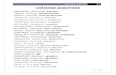 002 common adjectives list