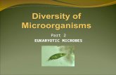 Diversity of Microorganisms 2