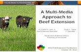A Multi-Media Approach to Beef Extension