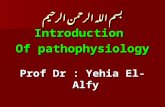 (1,2) introduction of pathophysiology+ cell injury   copy