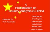 country analysis china