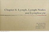 Chapter 6: Lymph, Lymph Node and Lymphocyte