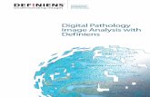 Definiens In Digital Pathology Hr