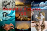 Beautiful pictures10 consul-11