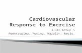 Cardiovascular response to exercise