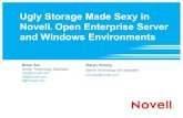 Ugly Storage Made Sexy in Novell Open Enterprise Server and Windows Environments