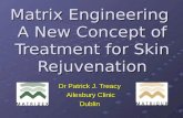 Matridex Dermal Filler presentationm to FACE Conference 2005 by Dr. Patrick Treacy