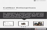 Caliber enterprises(1)