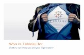 Who is Tableau for?
