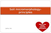Soil Micro Morphology Principles