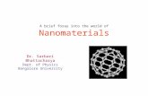 A Brief Foray Into the World of Nano Materials by Sarbari Bhattacharya