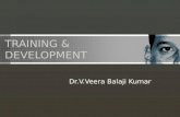 training & development - introduction