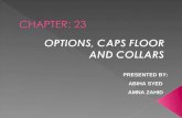 Option Floor and Caps Collars MFI FINAL PPT