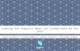 Looking for Experts? What can Linked Data do for You?