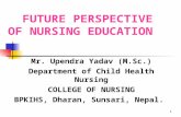 Future Persepective of Nursing Education.