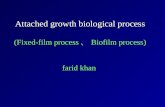 Biofilm Process