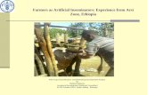 Farmers as Artificial Inseminators: Experience from Arsi Zone, Ethiopia