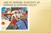 Law of Demand,Demand Elasticty