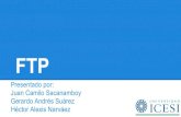 FTP (File Transfer Protocol)