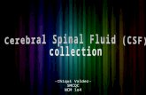 Cerebral Spinal Fluid