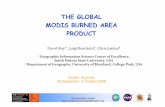 David Roy - The global MODIS burned area product