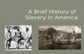 A Brief History of Slavery in America