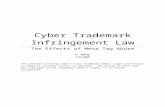 Cyber Trademark Infringement & Meta Tag Abuse