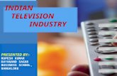 Indian Television Industry