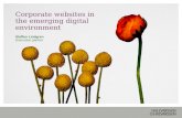 Hh Webranking Italy 2008   Corporate Websites In The Emerging Digital Environment