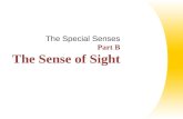 Special Senses Part 2 (Eye)