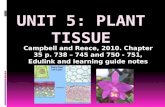 Unit 5 plant tissue
